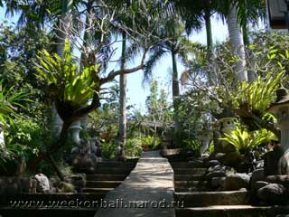 Бали.Зоопарк.Лестница в парк.[jpeg.320x240x15.8Kb]