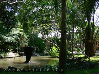 Бали.Зоопарк.Парк с озером и фонтаном.[jpeg.320x240x19.1Kb]
